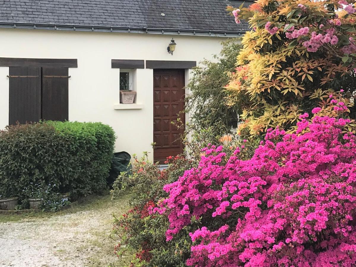 Ti Cairn Villa Moëlan-sur-Mer Exterior foto